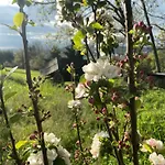 Bed & Breakfast Tierra Cristiana 3*