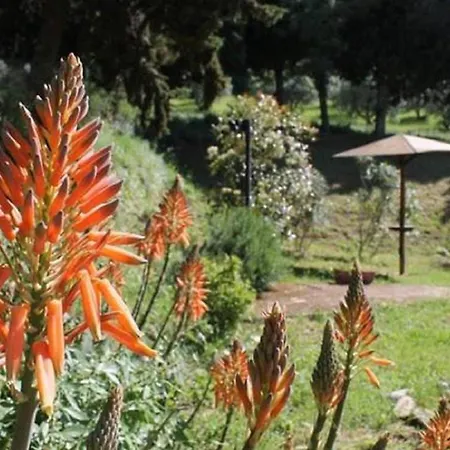 Tierra Cristiana Bed & Breakfast