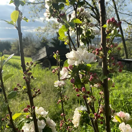 Bed & Breakfast Tierra Cristiana 3*