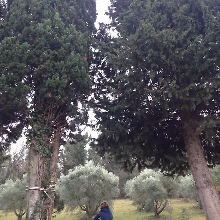 Tierra Cristiana Oda ve Kahvaltı