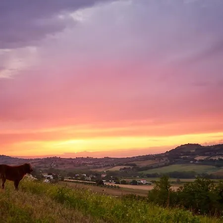 Tierra Cristiana Nocleg ze śniadaniem Civitanova Marche