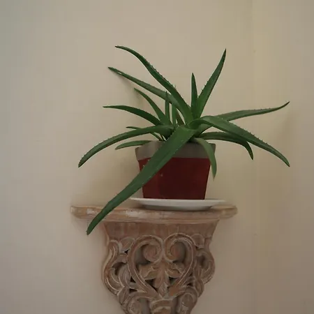 Bed and breakfast Tierra Cristiana *