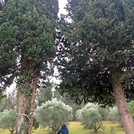 Tierra Cristiana Oda ve Kahvaltı 3*